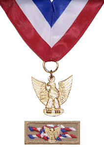Distinguished Eagle Scout Medal